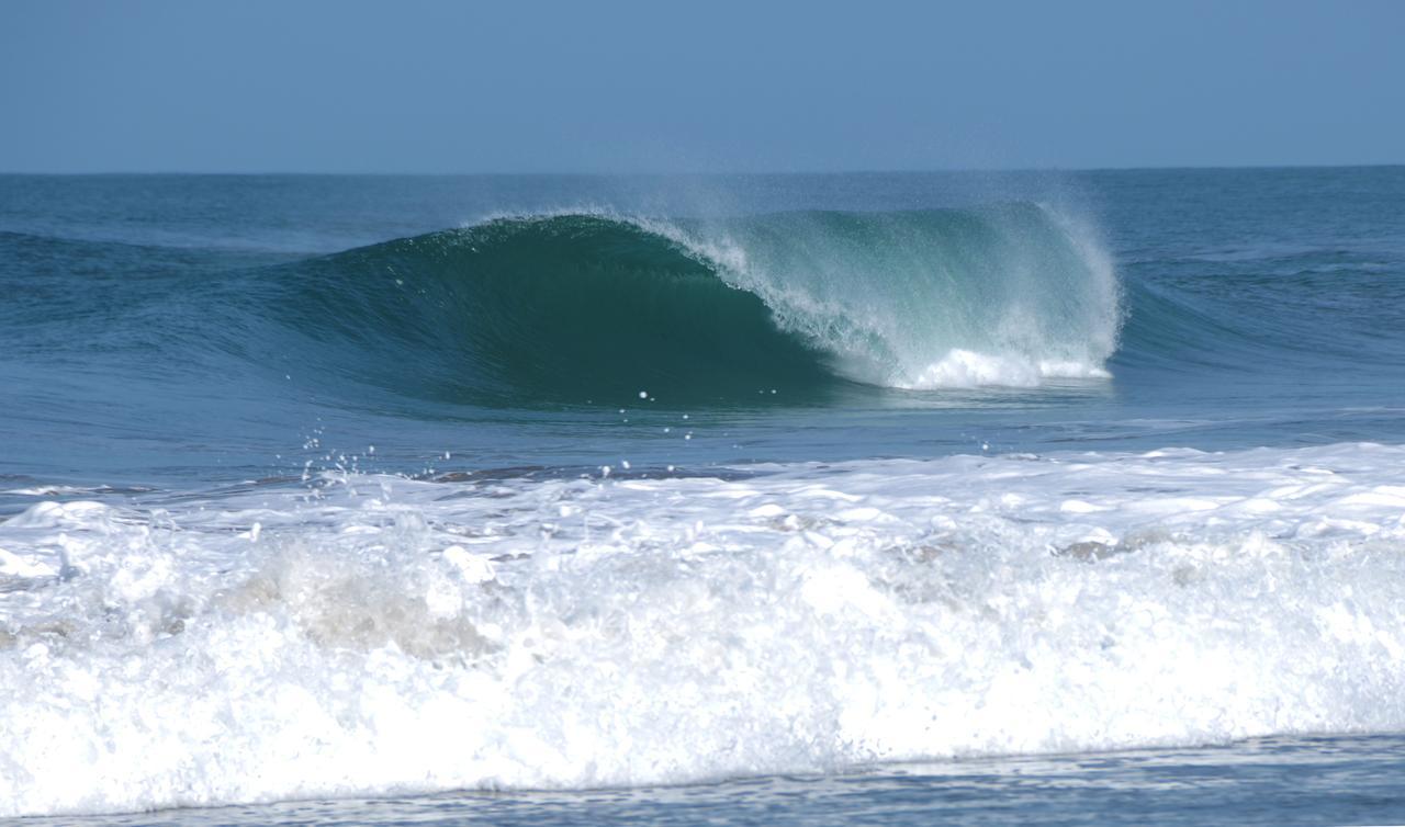 Las Palmeras Beach Hotel Aposentillo エクステリア 写真